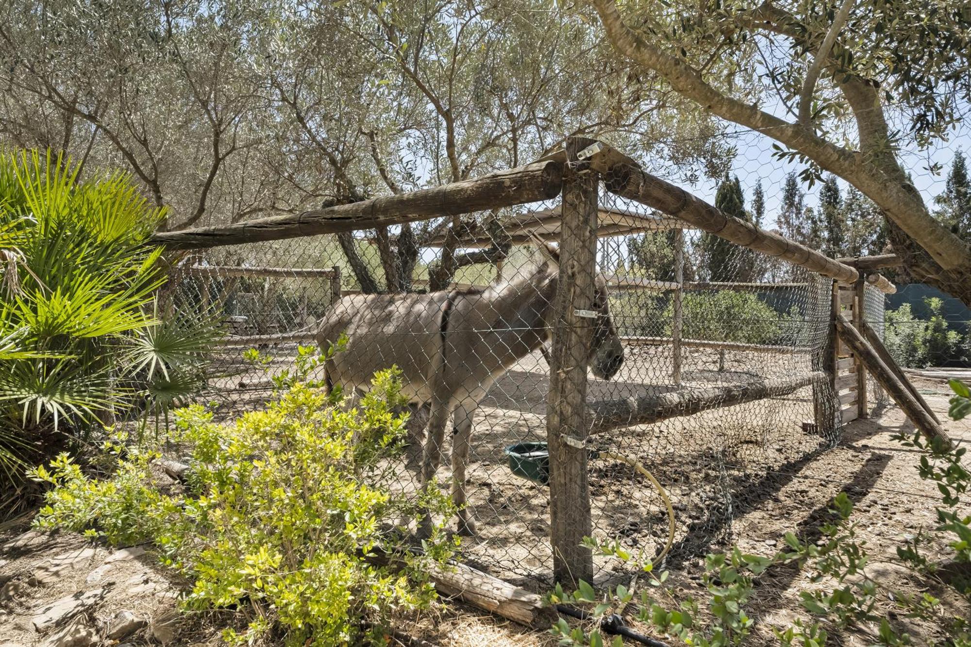 Cambiardeaires Rural Piedra Villa ปีลาร์ เดลา ออราดาดา ภายนอก รูปภาพ